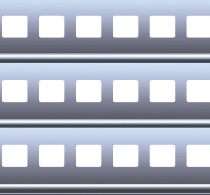 Fenestrated Slat exterior shutter